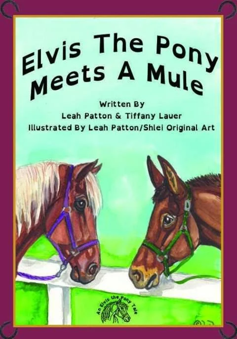 Elvis-the-Pony-Meets-a-Mule-480x686.jpg
