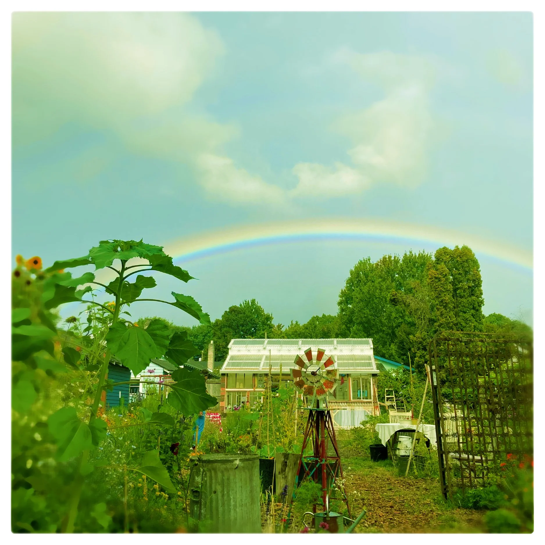 rainbow.JPG