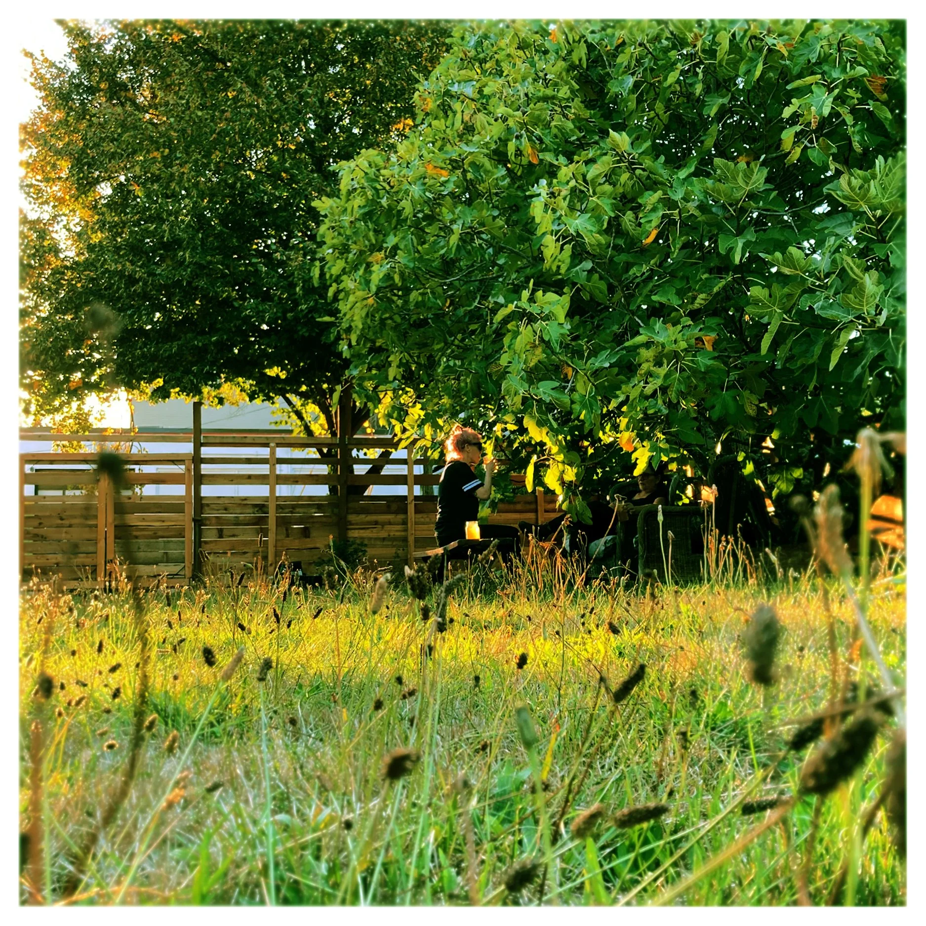 farmlife.JPG