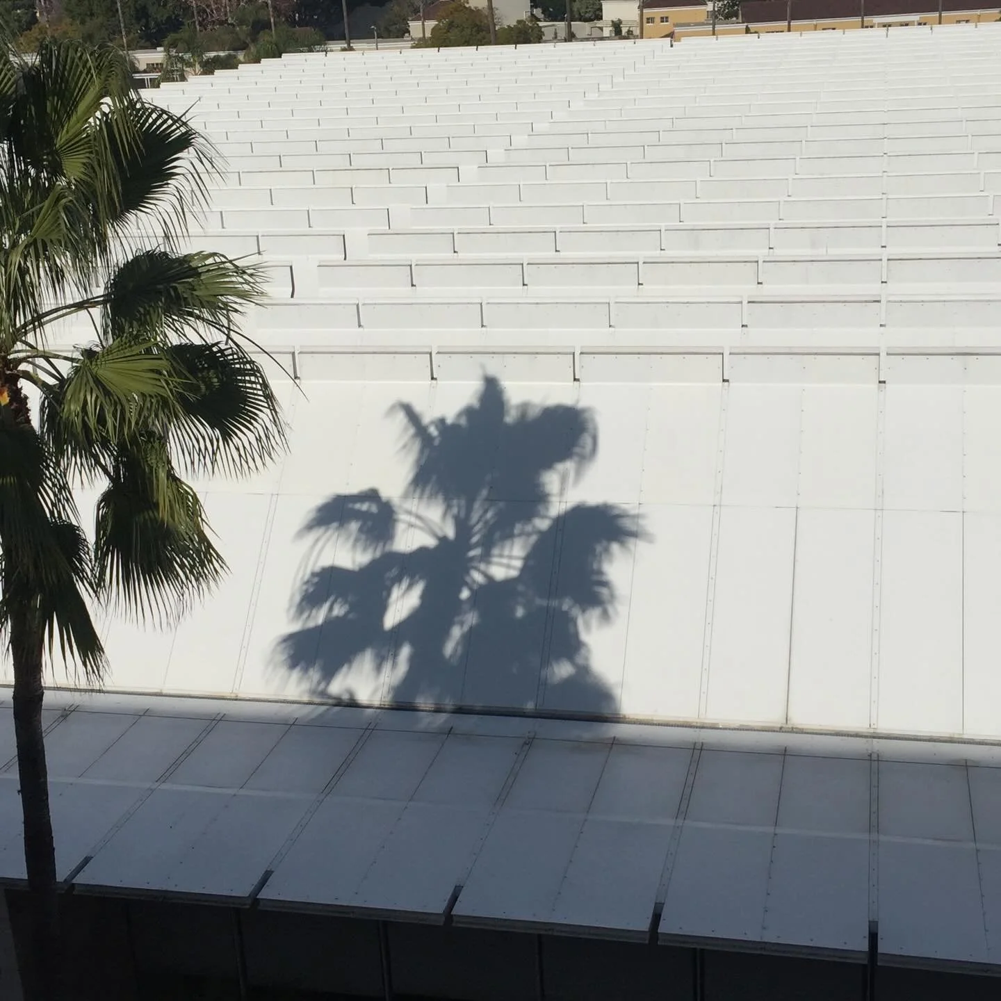 I love a nostalgic trend.

I knew 2016 was a big year for me. It was the year I surrendered to the universe and left a job of 10 years. A job I loved, with people I loved even more, but I also knew I needed a change. I went straight into the abyss, w