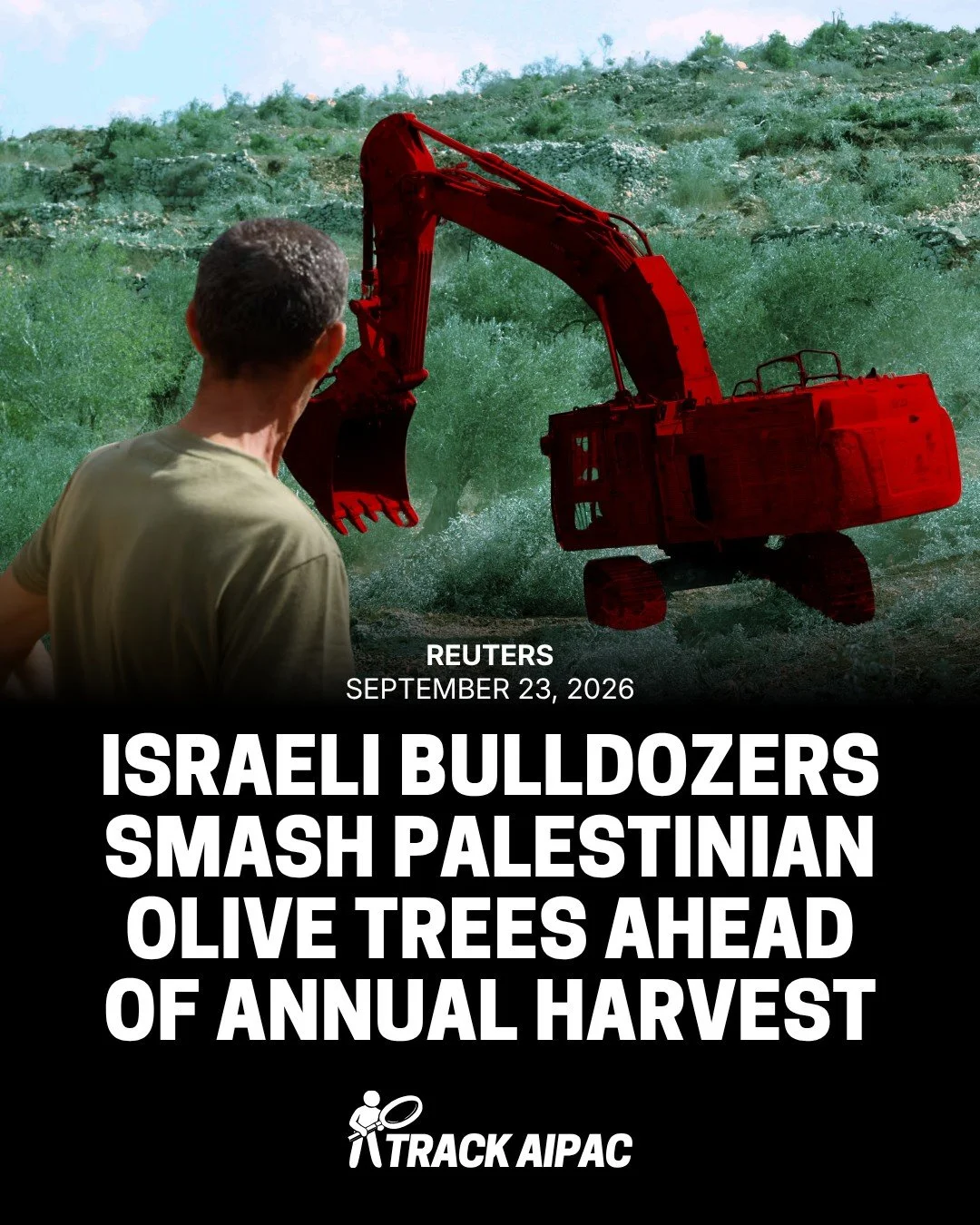 Palestinian villagers wailed over the mangled remains of their olive trees on Wednesday after Israel's military uprooted them with bulldozers, days ahead of the annual &zwnj;olive harvest, normally a source of joy for Palestinians in the occupied Wes