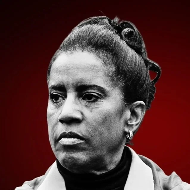 Donna Miller, candidate for Congress IL-02