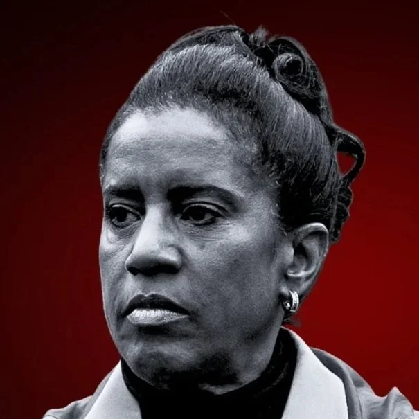 Donna Miller, candidate for Congress IL-02