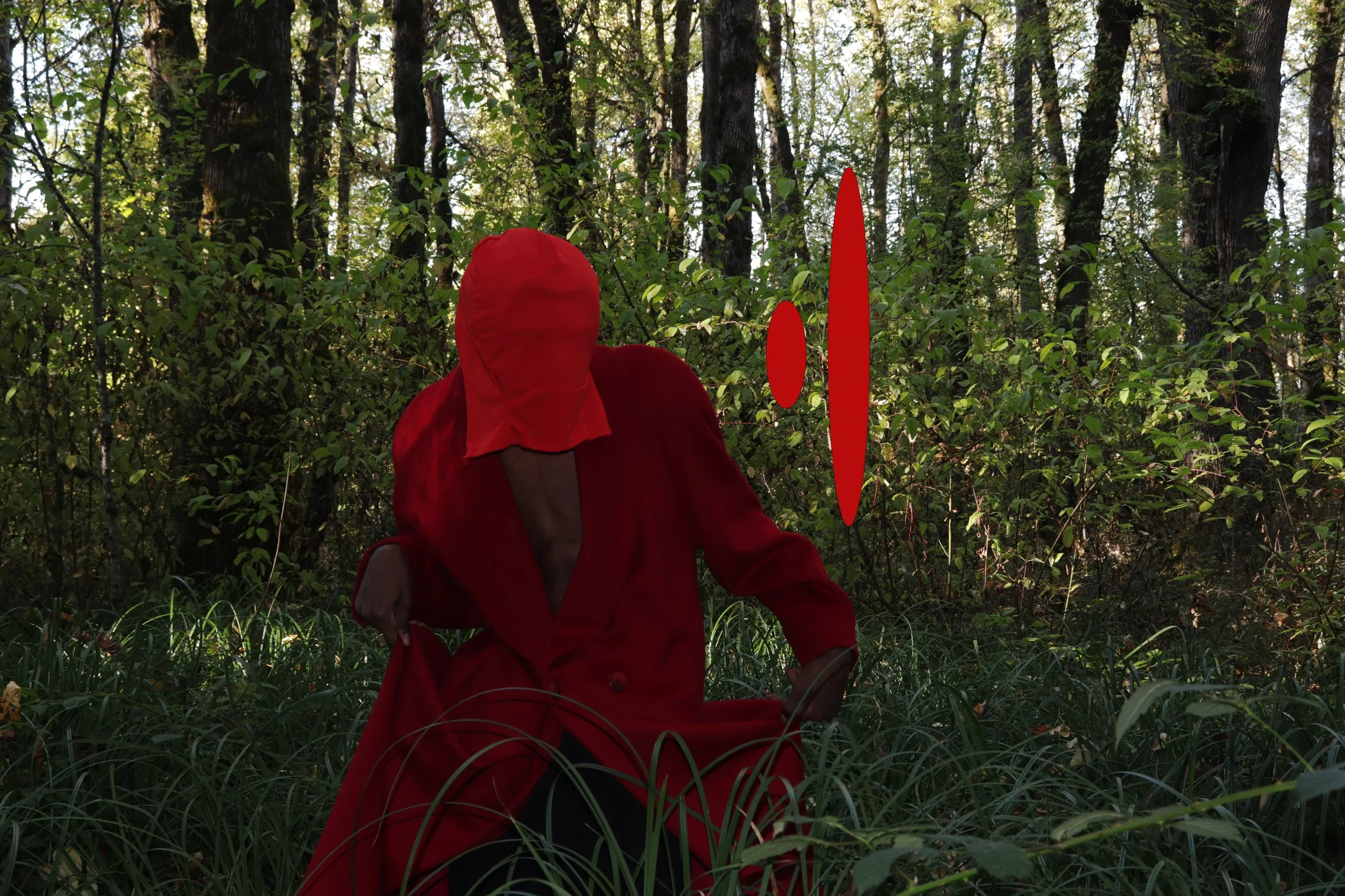 edited copy righted- red figure .jpg