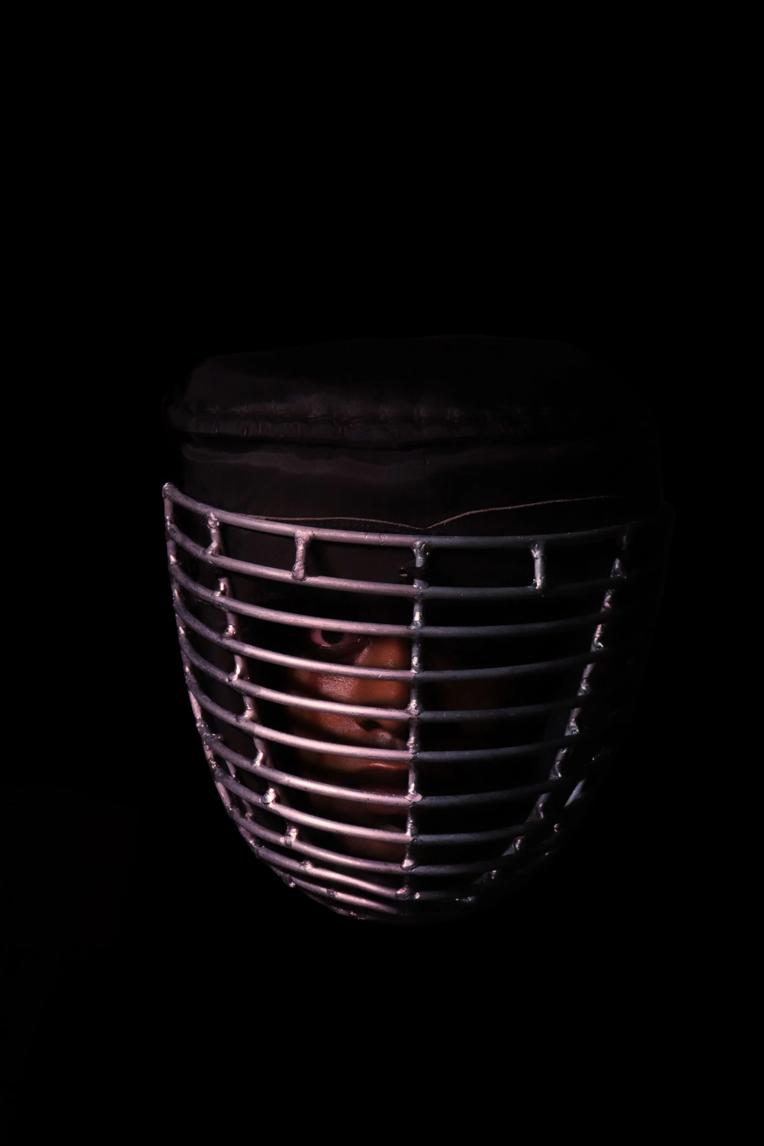 caged non cropped_ copy right.jpg