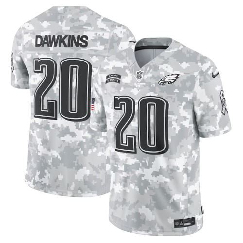 Philadelphia Eagles #20 Brian Dawkins Arctic 2024 Salute to Service Limited Jersey Camo