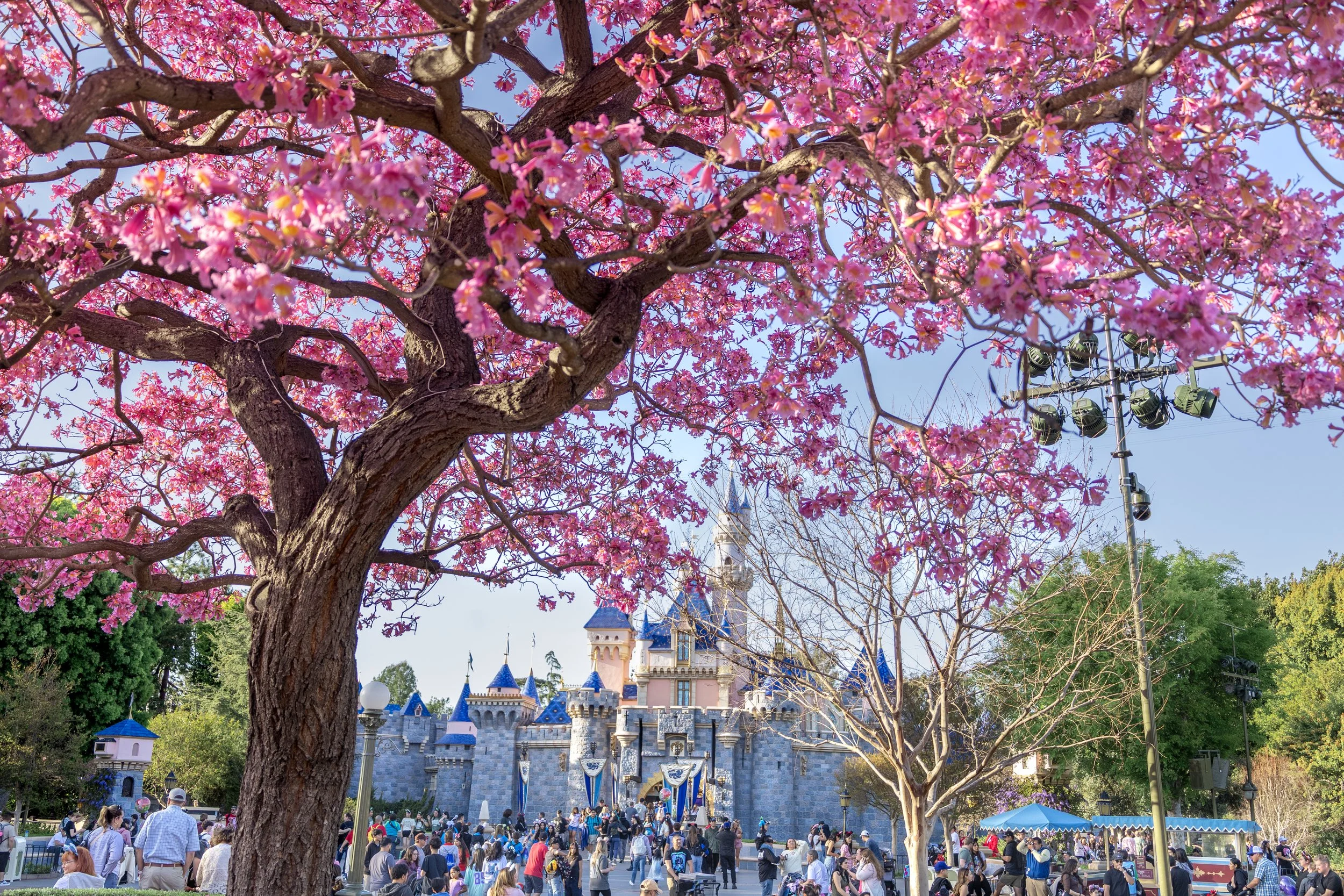 Disneyland Park, CA
