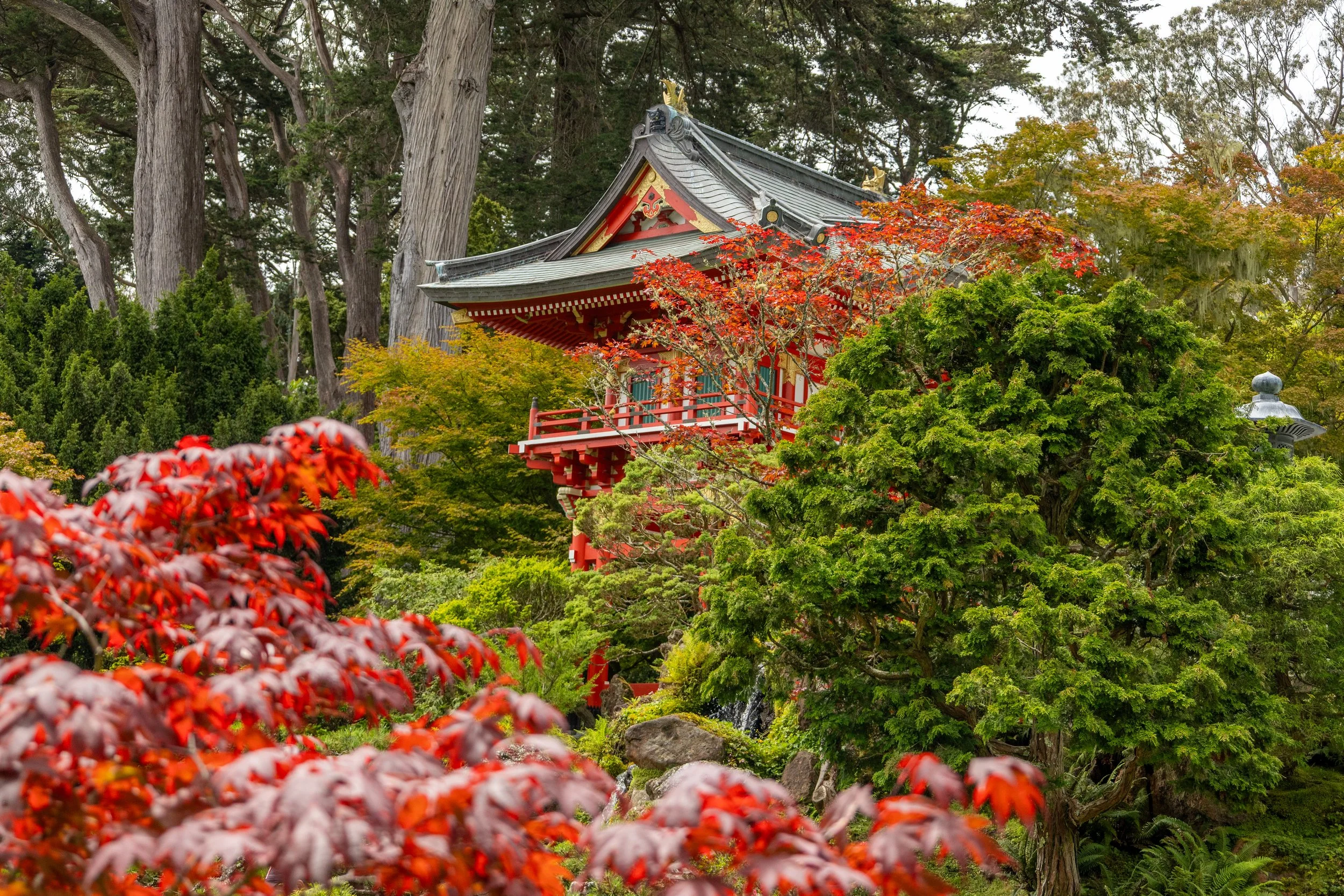San Francisco, CA