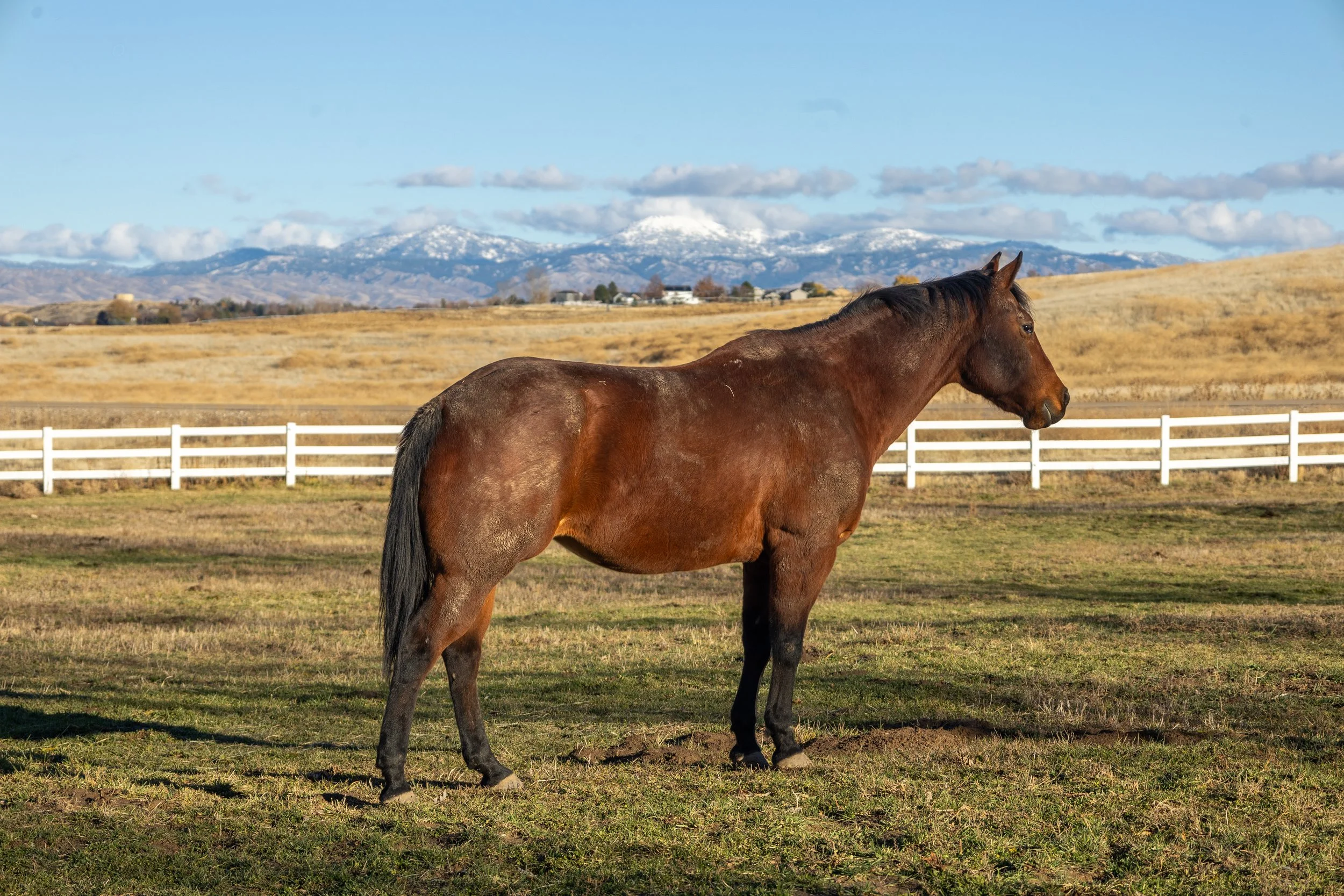 Nampa, Idaho