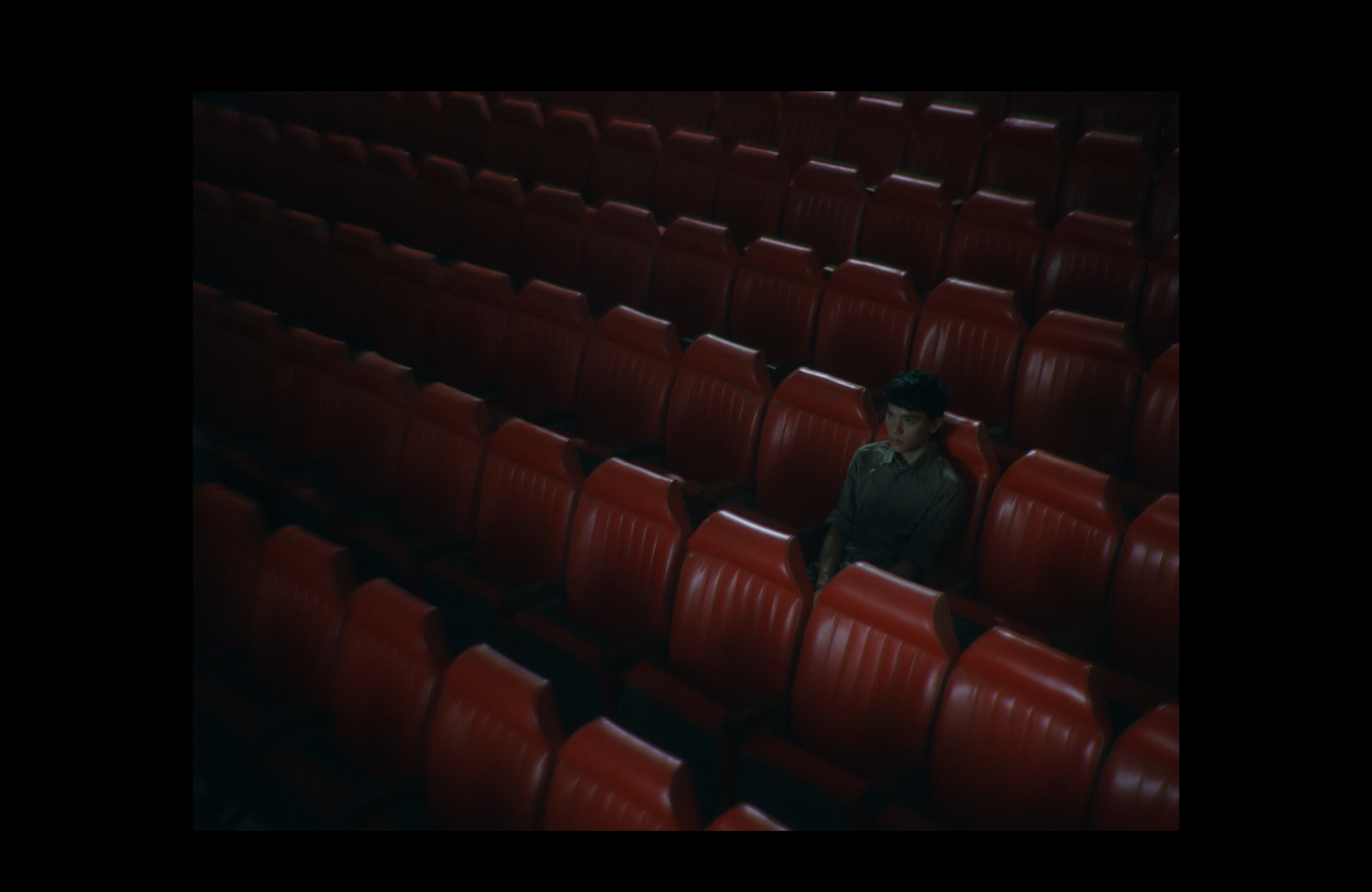 Copyright Picturehouse.png