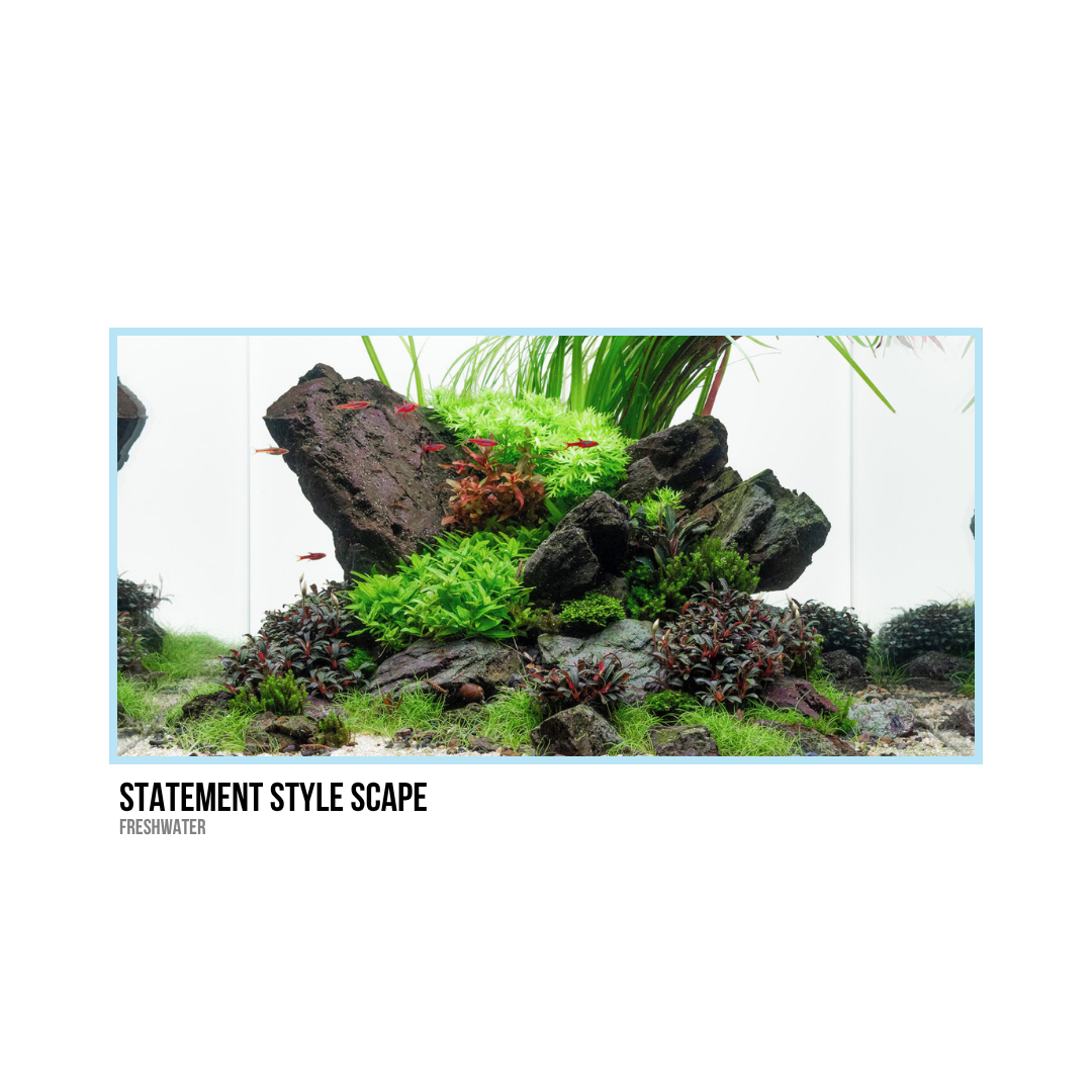 Aquarium with rocks, lush green plants, and small fish in a freshwater tank.