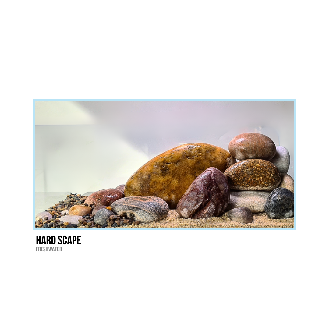 Arrangement of various colorful stones on a sandy surface, labeled 'Hard Scape' with the subtext 'Freshwater'.