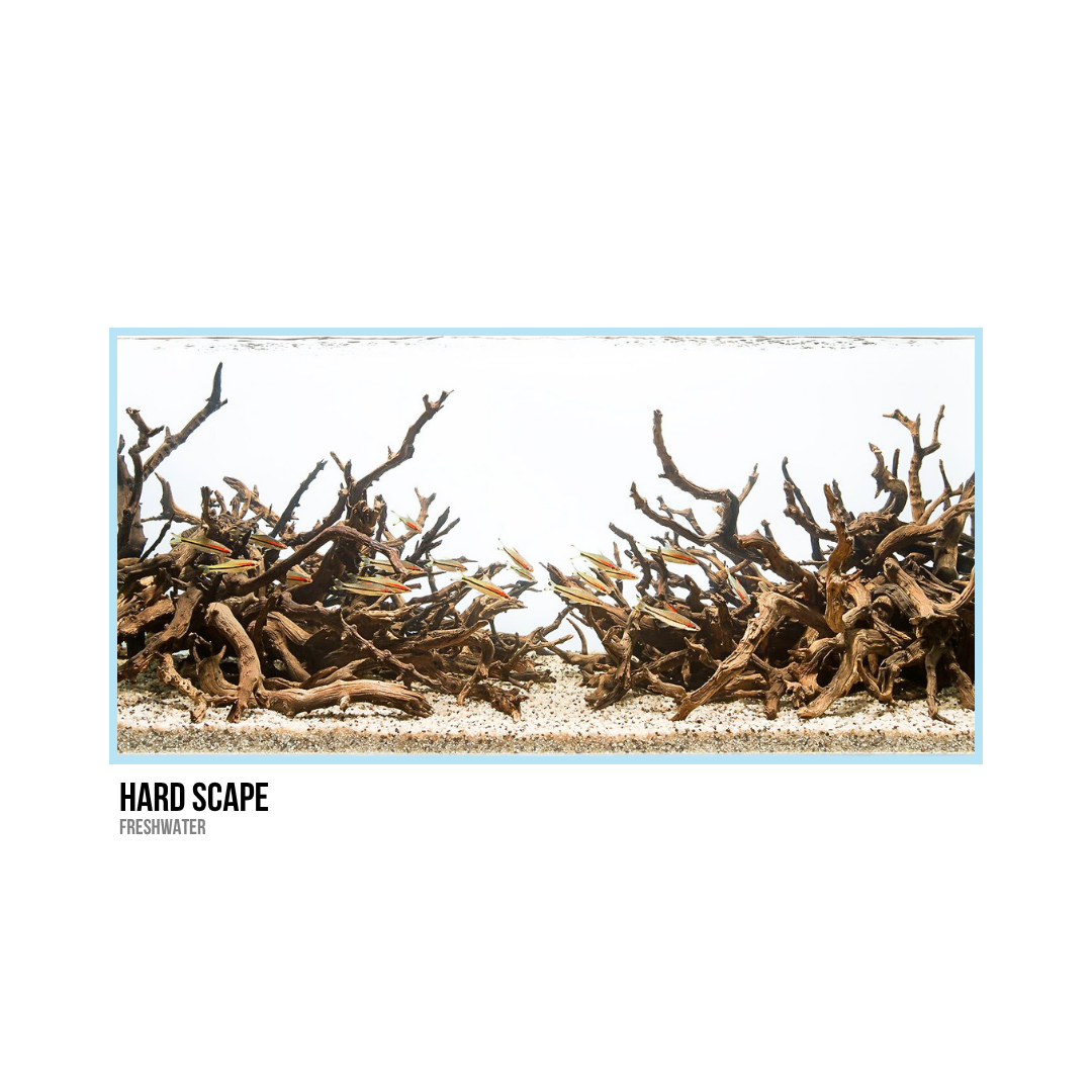 Aquarium setup called 'Hard Scape' with driftwood and small fish.