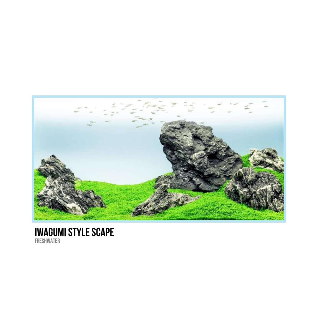 57.png