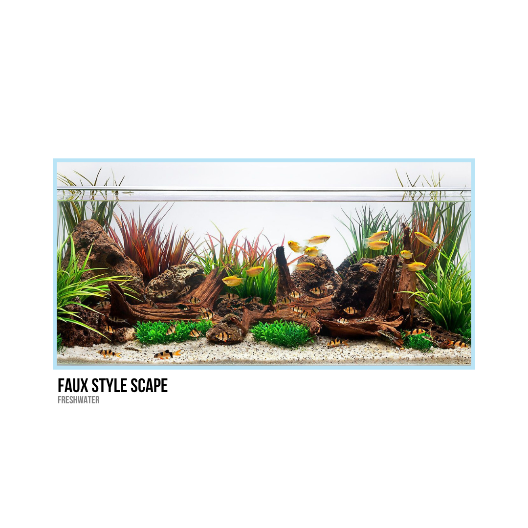 Aquarium with rocks, driftwood, green and red aquatic plants, and tropical fish in freshwater