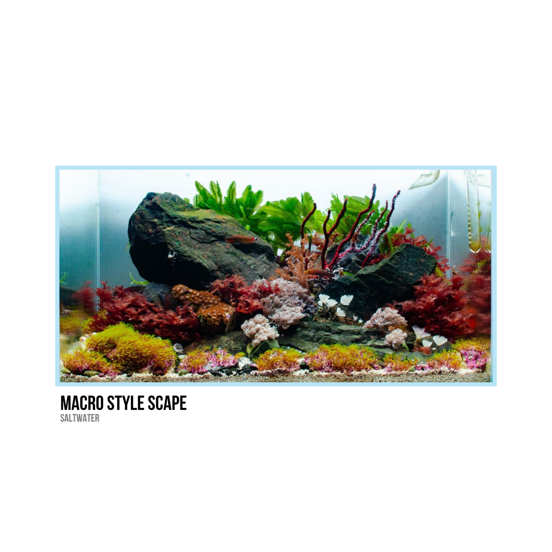 A saltwater aquarium with rocks, green and red plants, coral, and a few small fish.