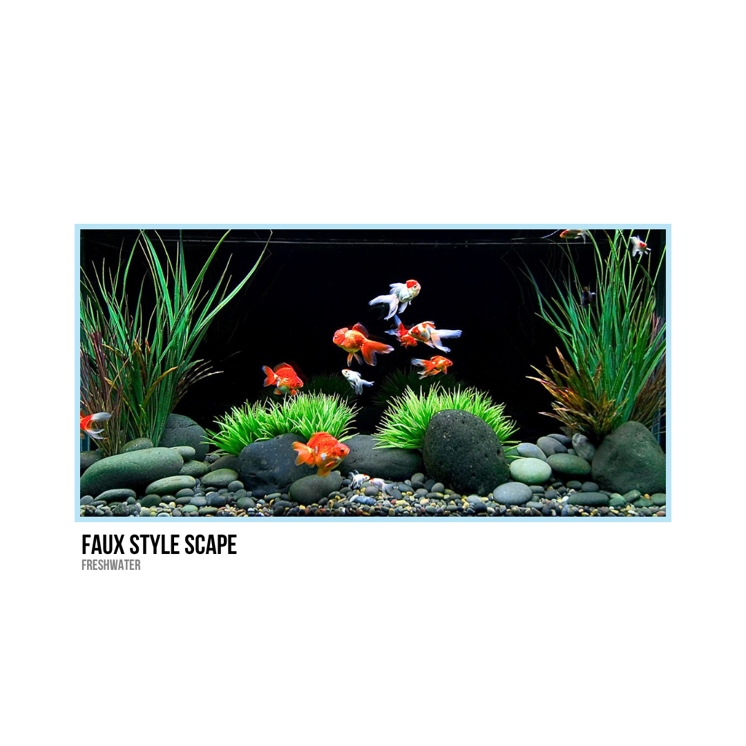 Freshwater aquarium with colorful fish, green plants, rocks, and gravel substrate.