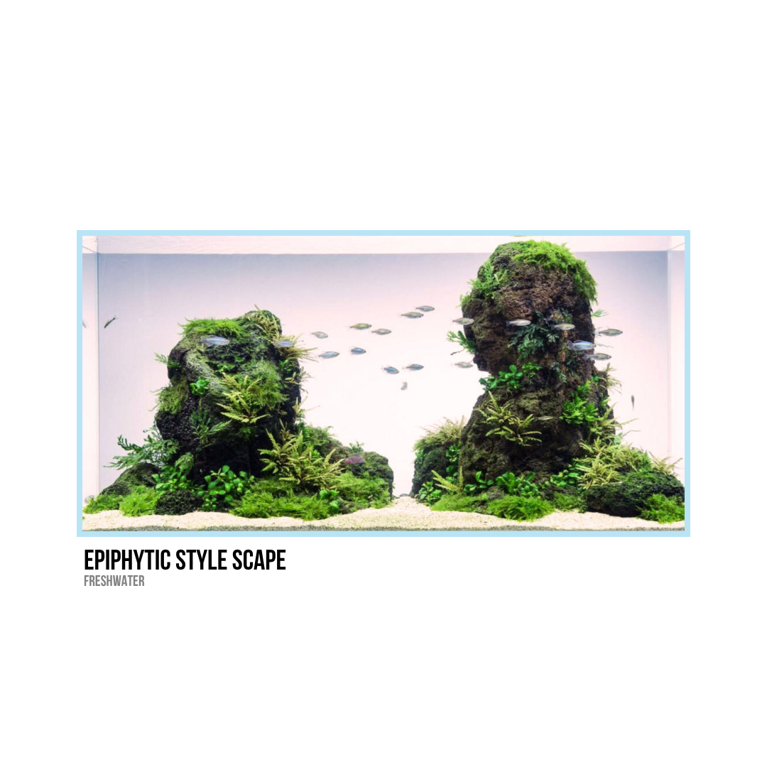 Aquarium with two large moss-covered rocks resembling human faces, surrounded by aquatic plants and small fish, labeled 'Epiphytic Style Scape' in a freshwater setting.