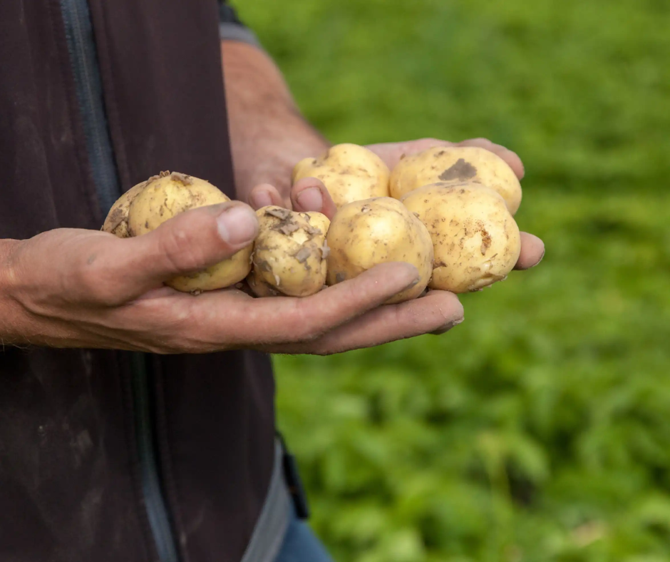 Bioboeren in actie: 'Betaal hetzelfde, krijg meer'