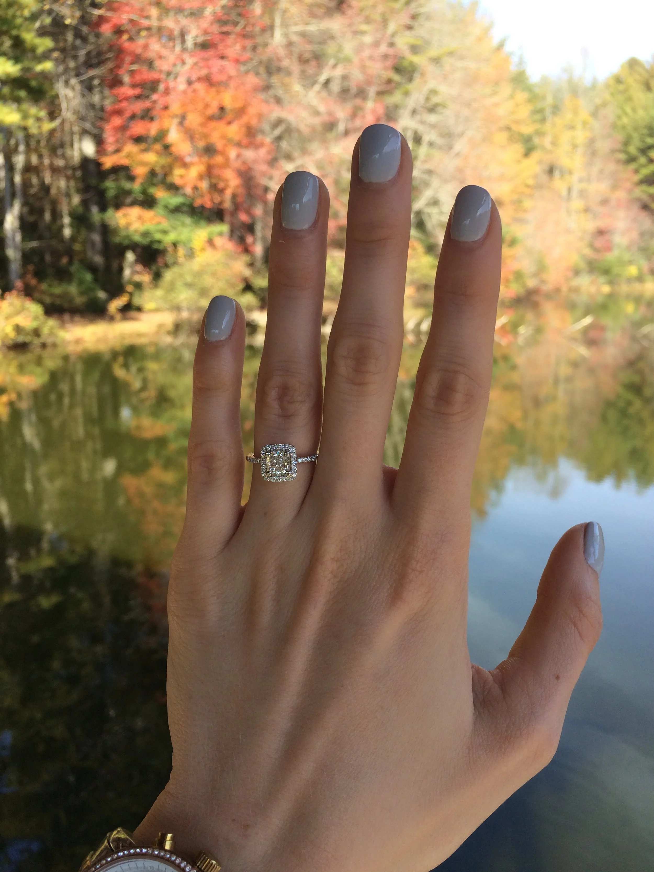 Brett Izzo Photo.jpeg