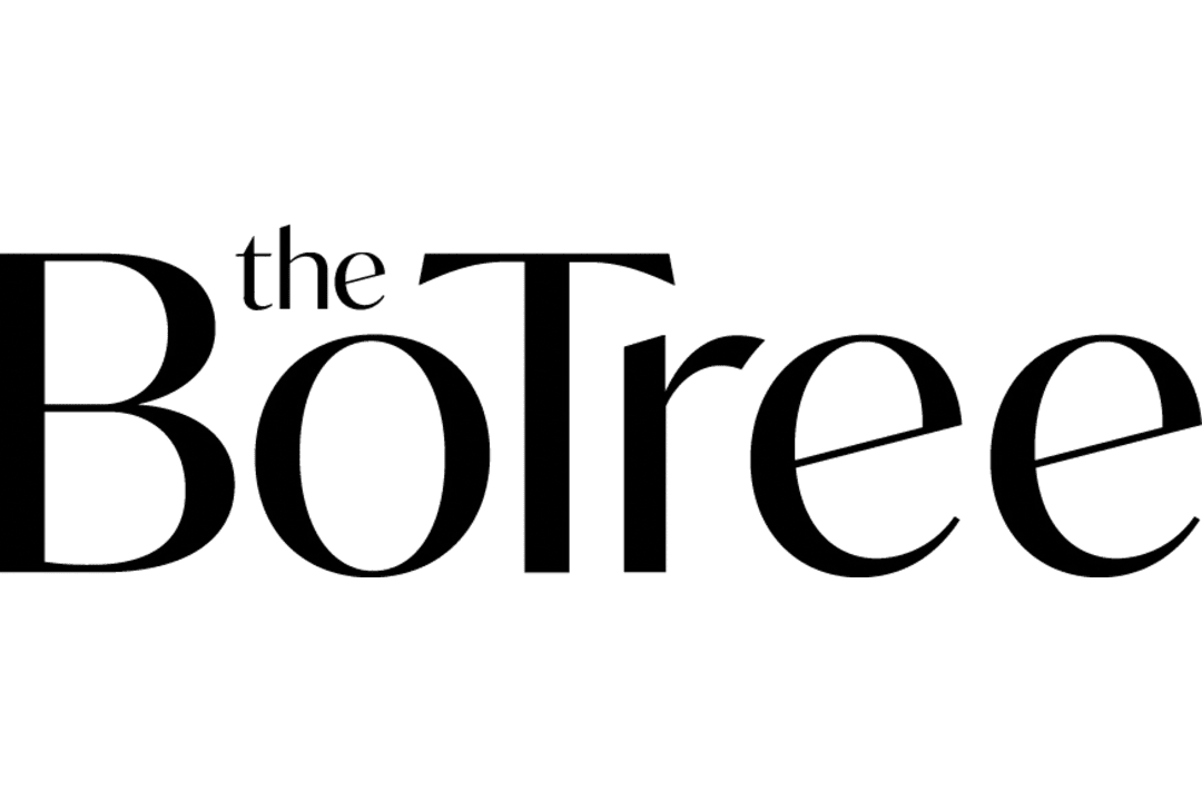 botree_logoArtboard_1-removebg-preview-2.png