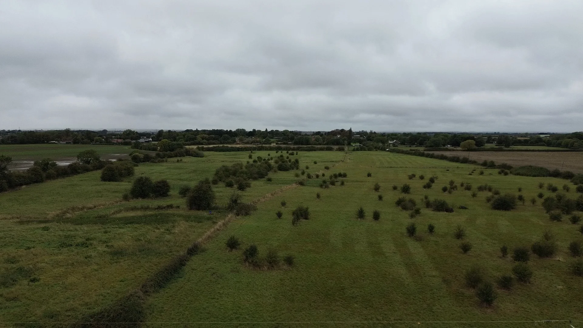 Copy of CD918918-8D01-497D-BB6C-A36509201EAA_1_102_o.jpeg