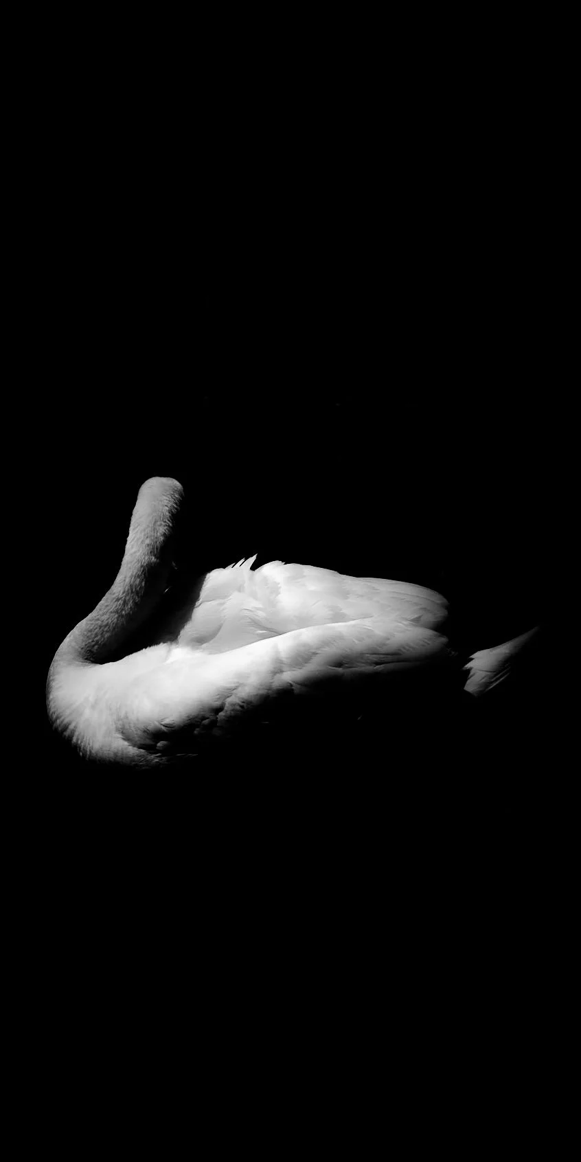 DSCF3921.jpg