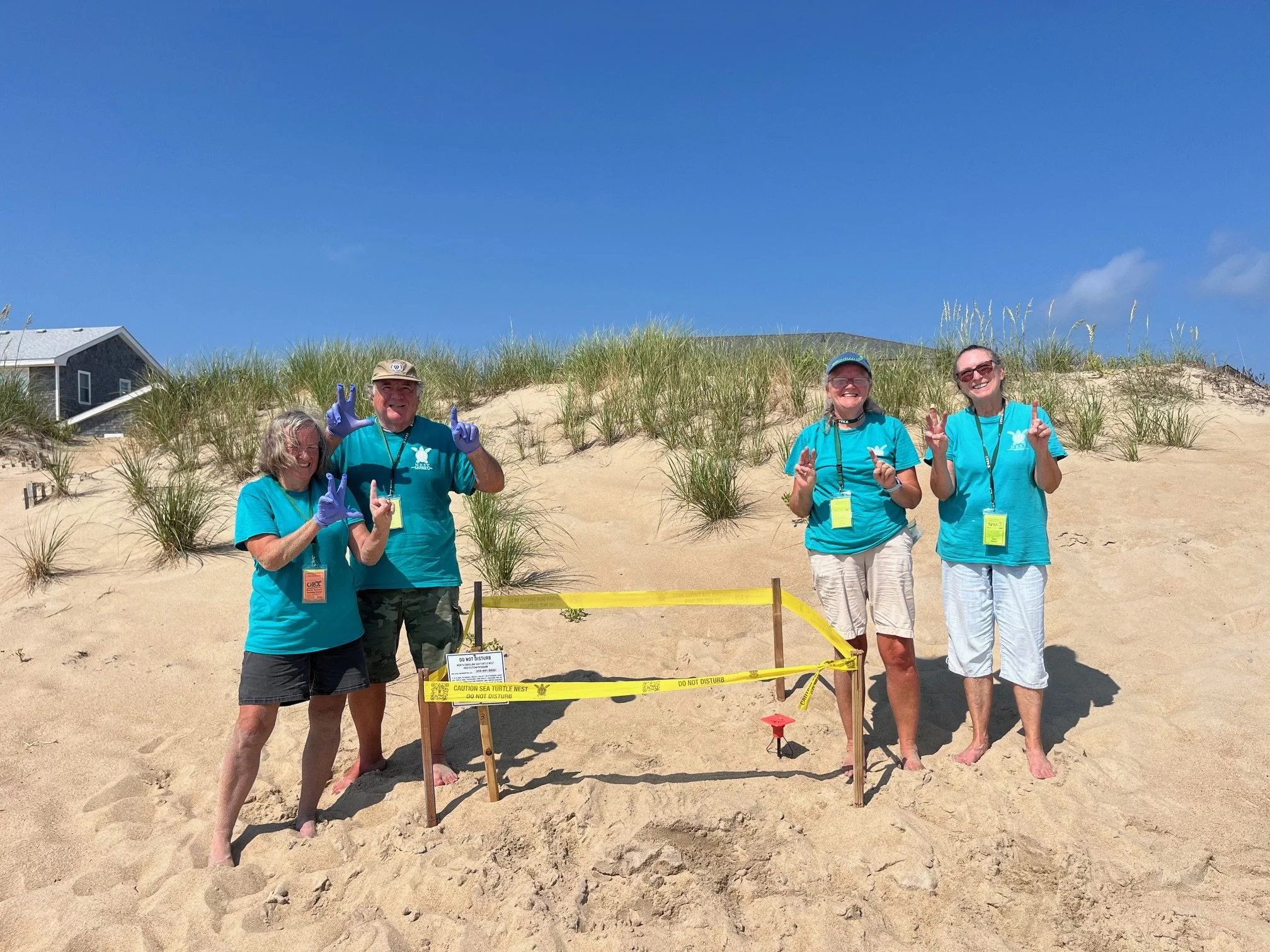 Nest N31 Nags Head
