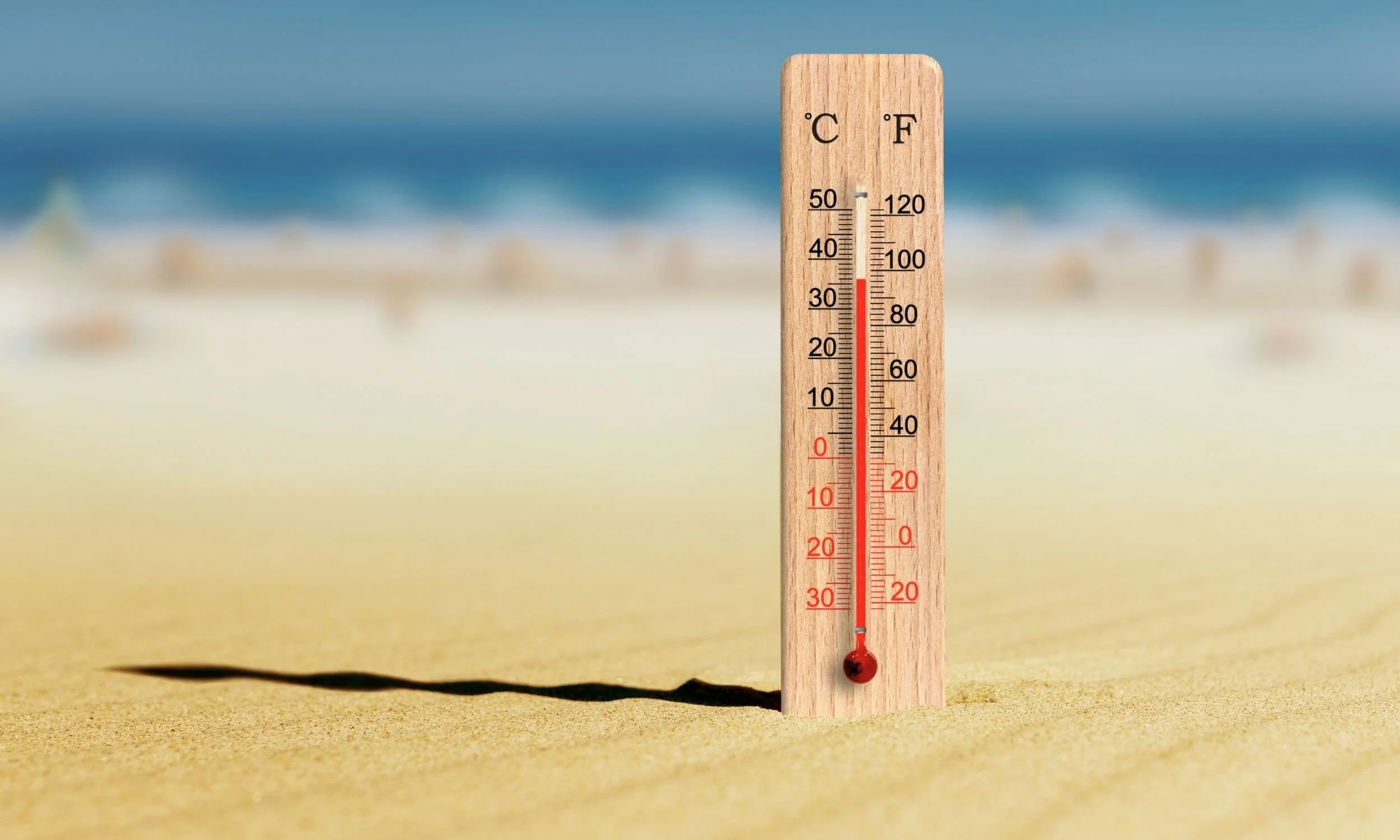 Temperature Dependent Sex Determination
