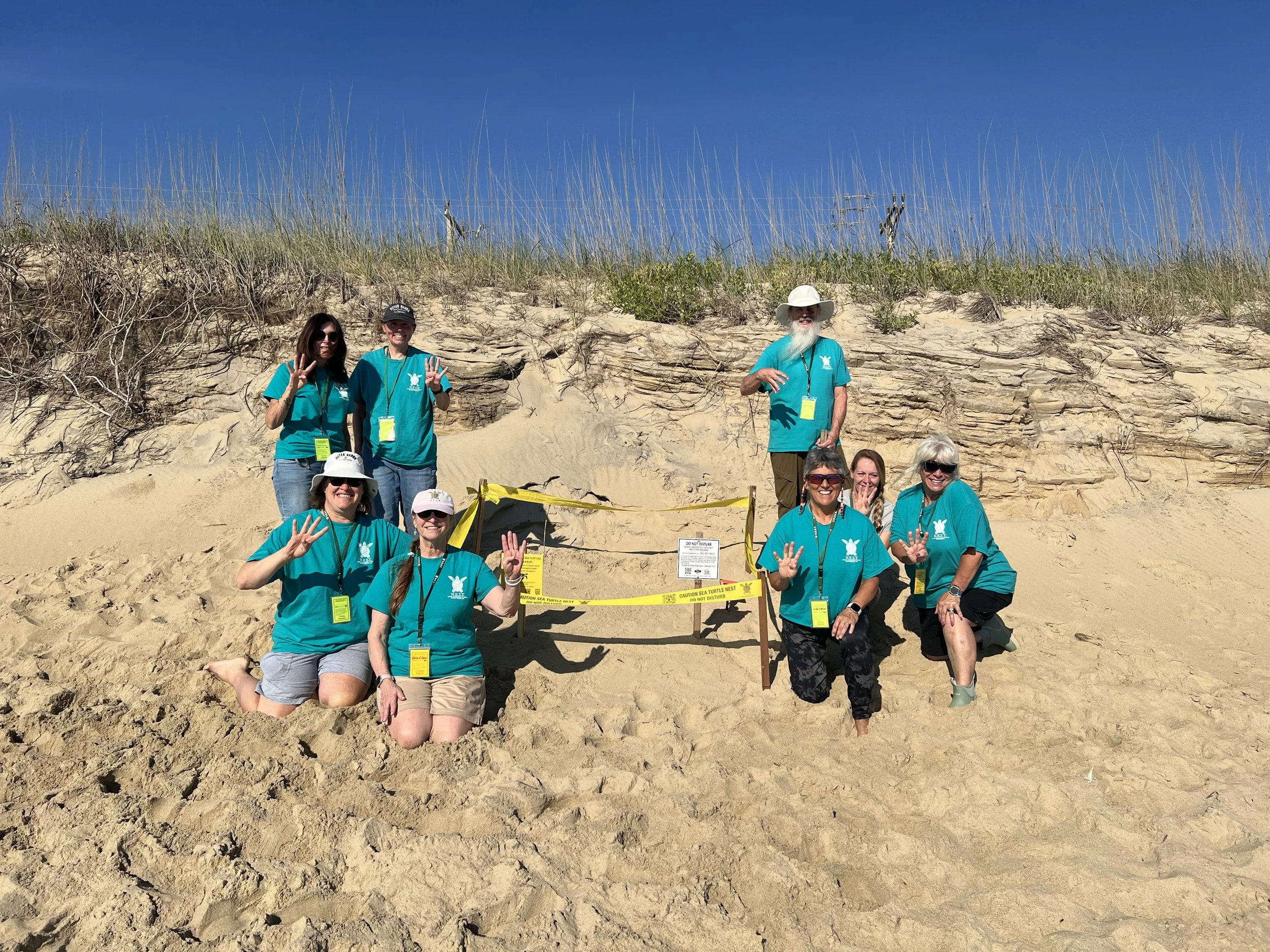 Nest N04 Kitty Hawk