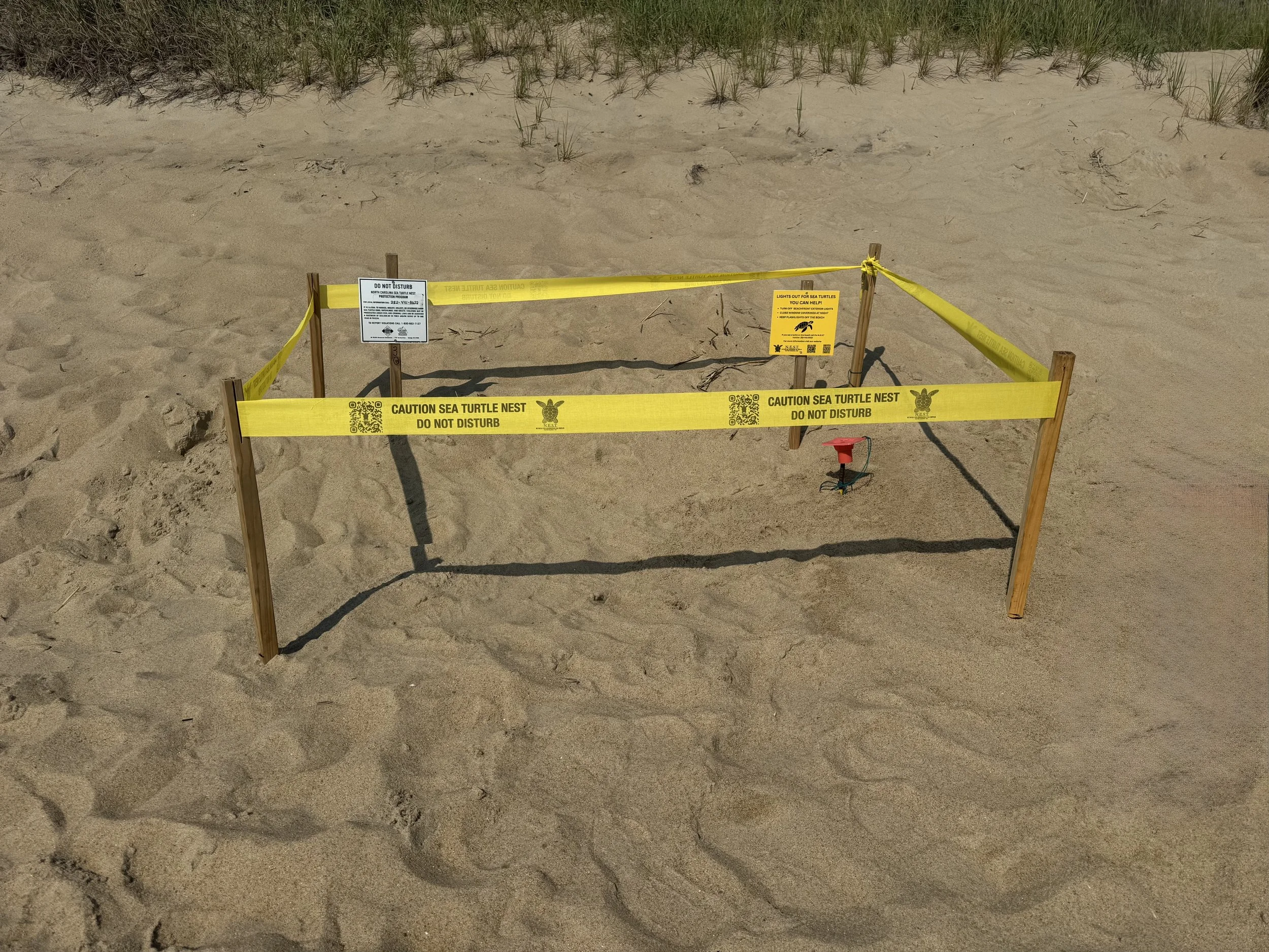 Nest 30 Nags Head