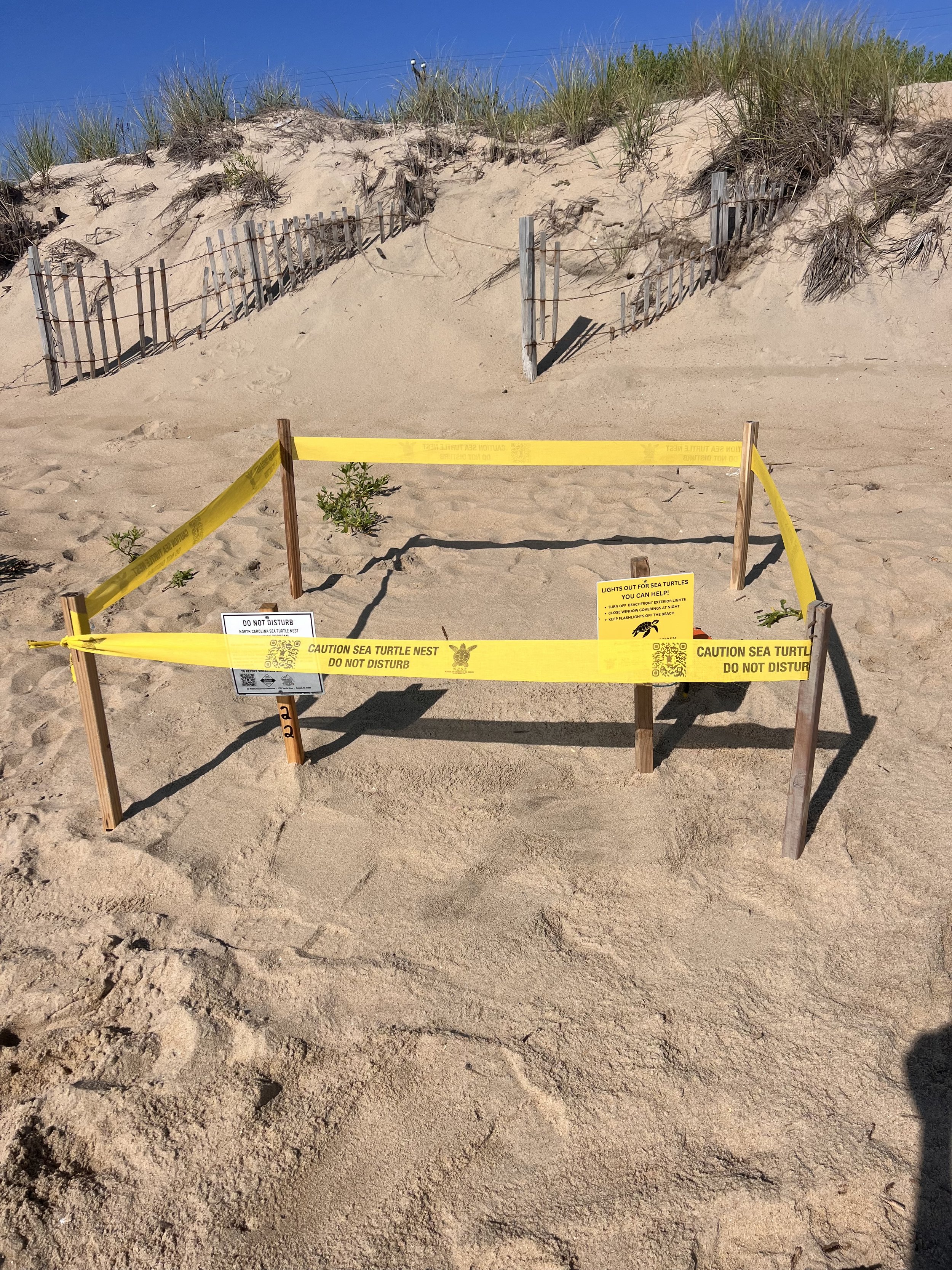 Nest N22 Kitty Hawk