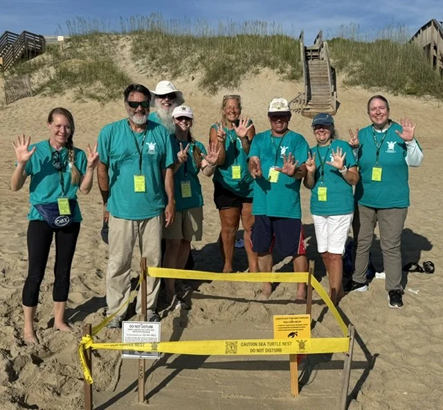 Nest N25 Kill Devil Hills