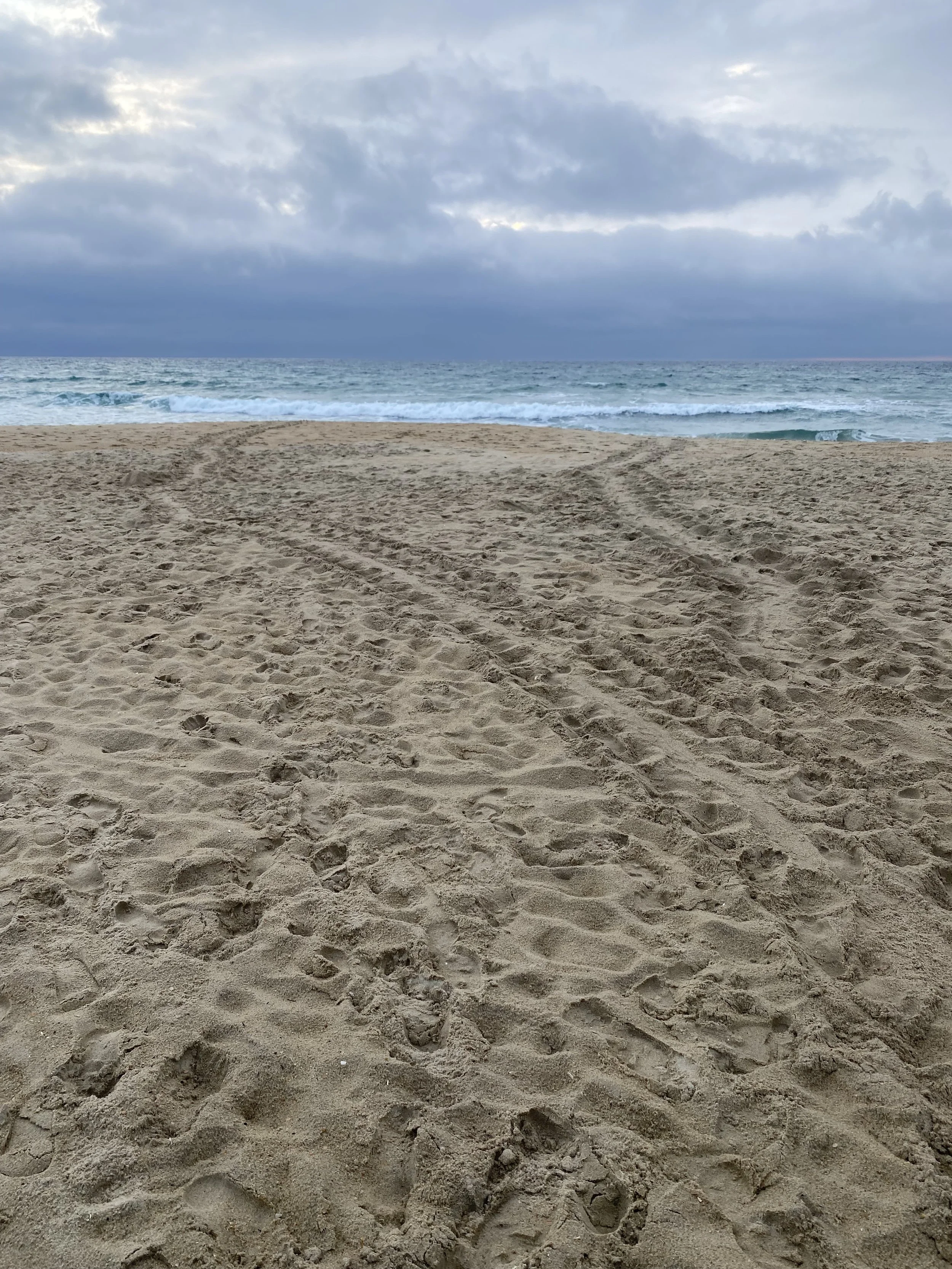 Nest N20 Nags Head