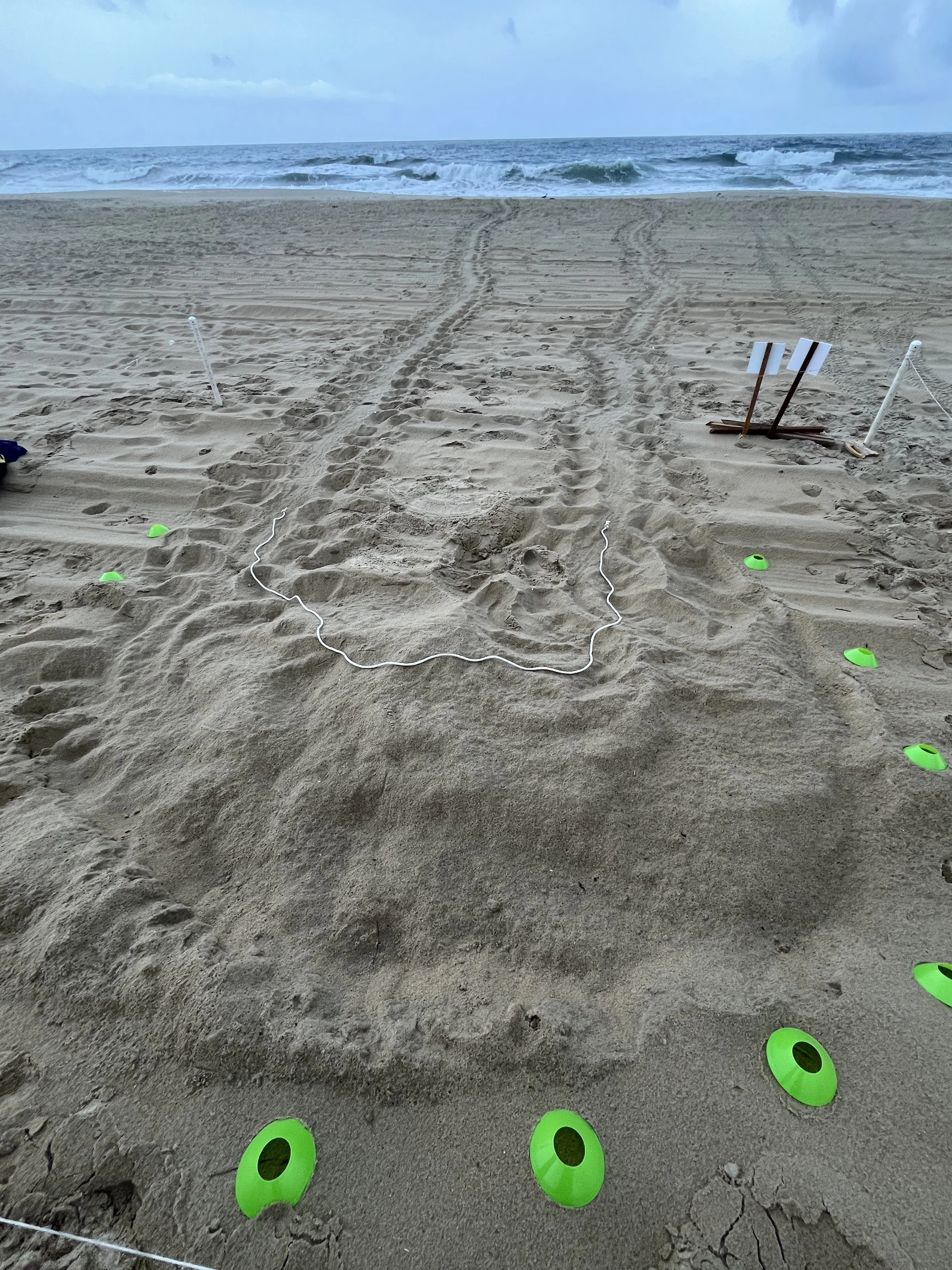 Nest N36 Kill Devil Hills