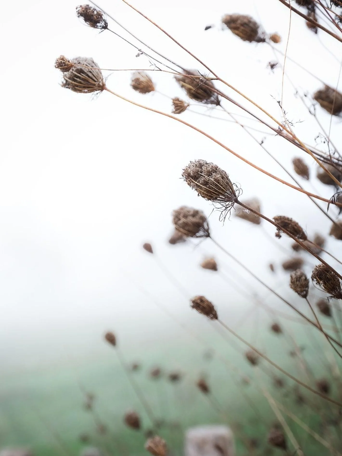 Autumn is coming! 

Photo: @cathelijnex