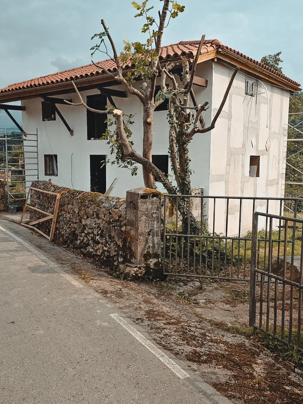 Sweat, sore bones, endless laughs, and a brand-new tree net!
We just spent the most incredible days working side-by-side with the absolute best people in our little corner of Spain. There is something truly magical about building, painting, and sweat