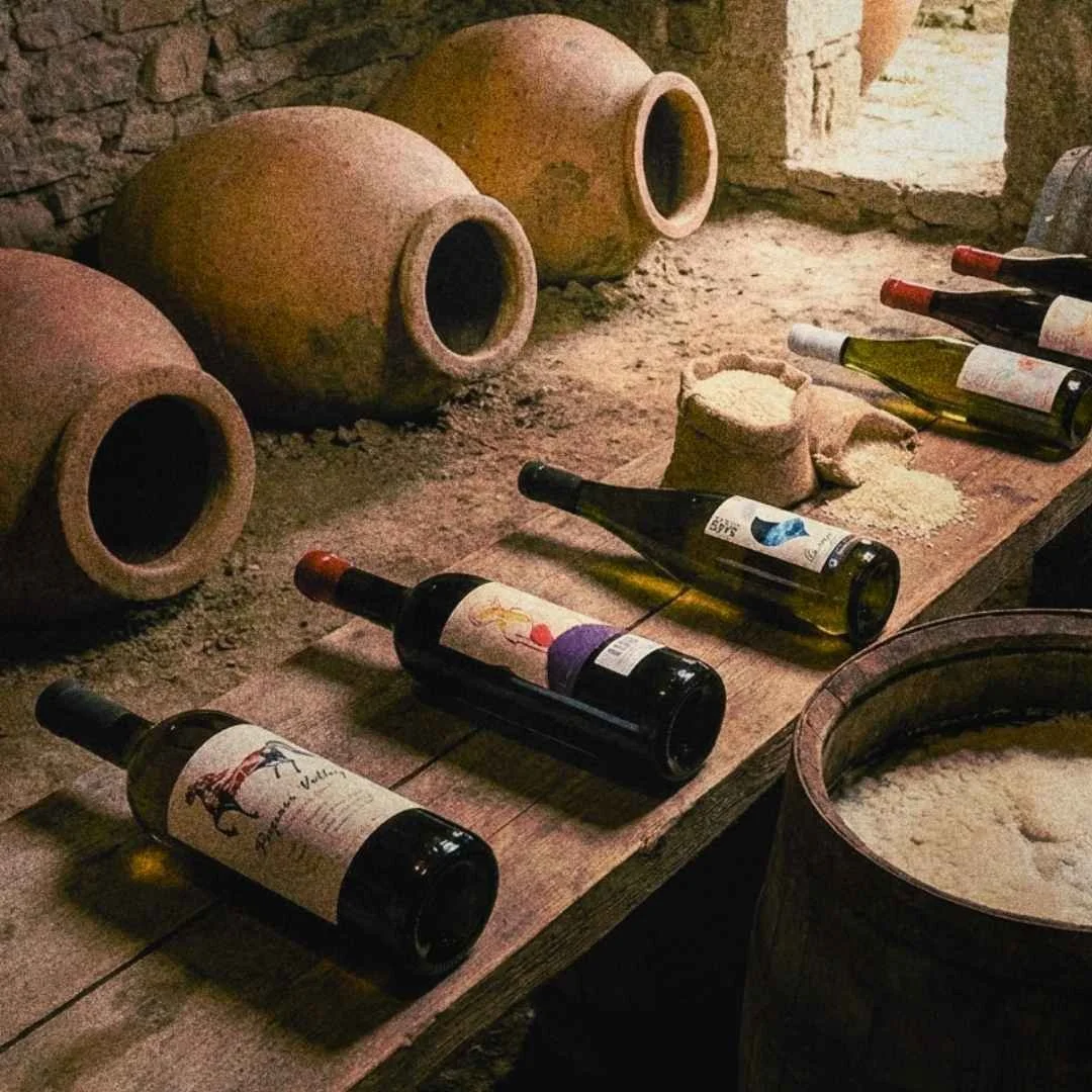 Prisnedsettelser Vinmonopolet 1. mars 2026