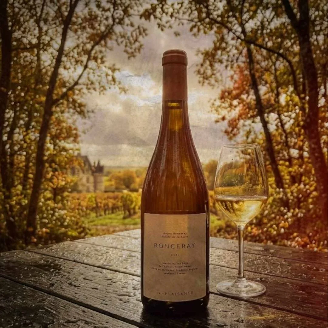 Château de Plaisance Ronceray 2021