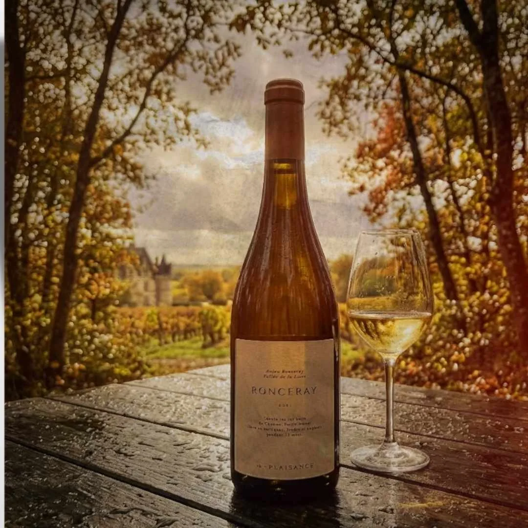 Château de Plaisance Ronceray 2021