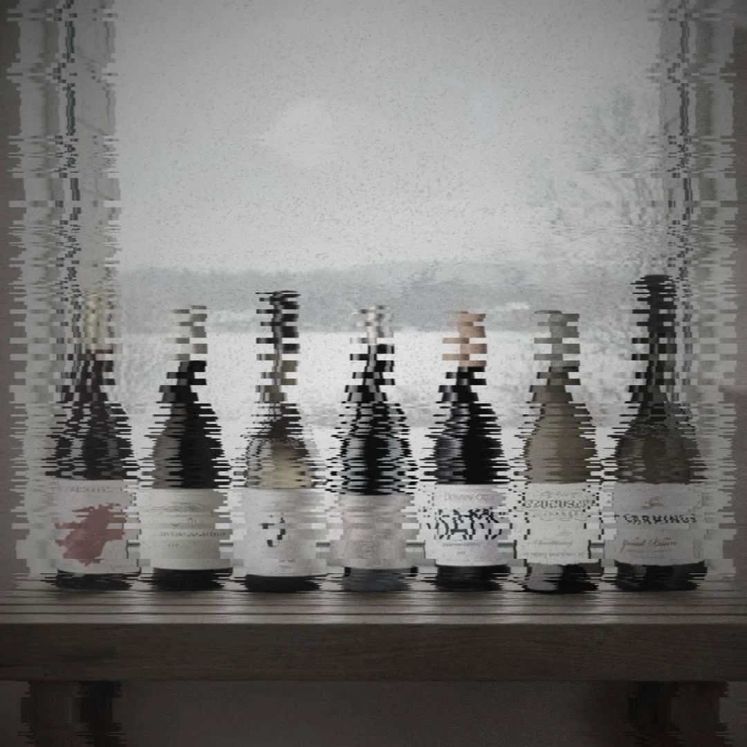 Høydepunkt fra Vinmonopolets Basis-, Parti- og Testutvalg, januar 2026.