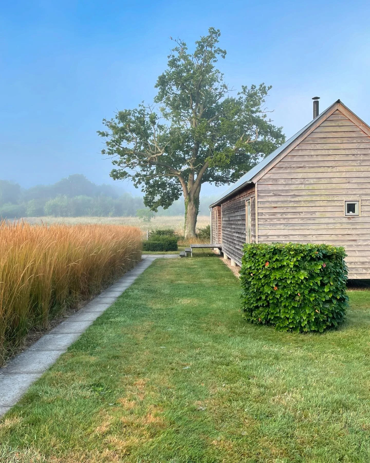 Misty morning