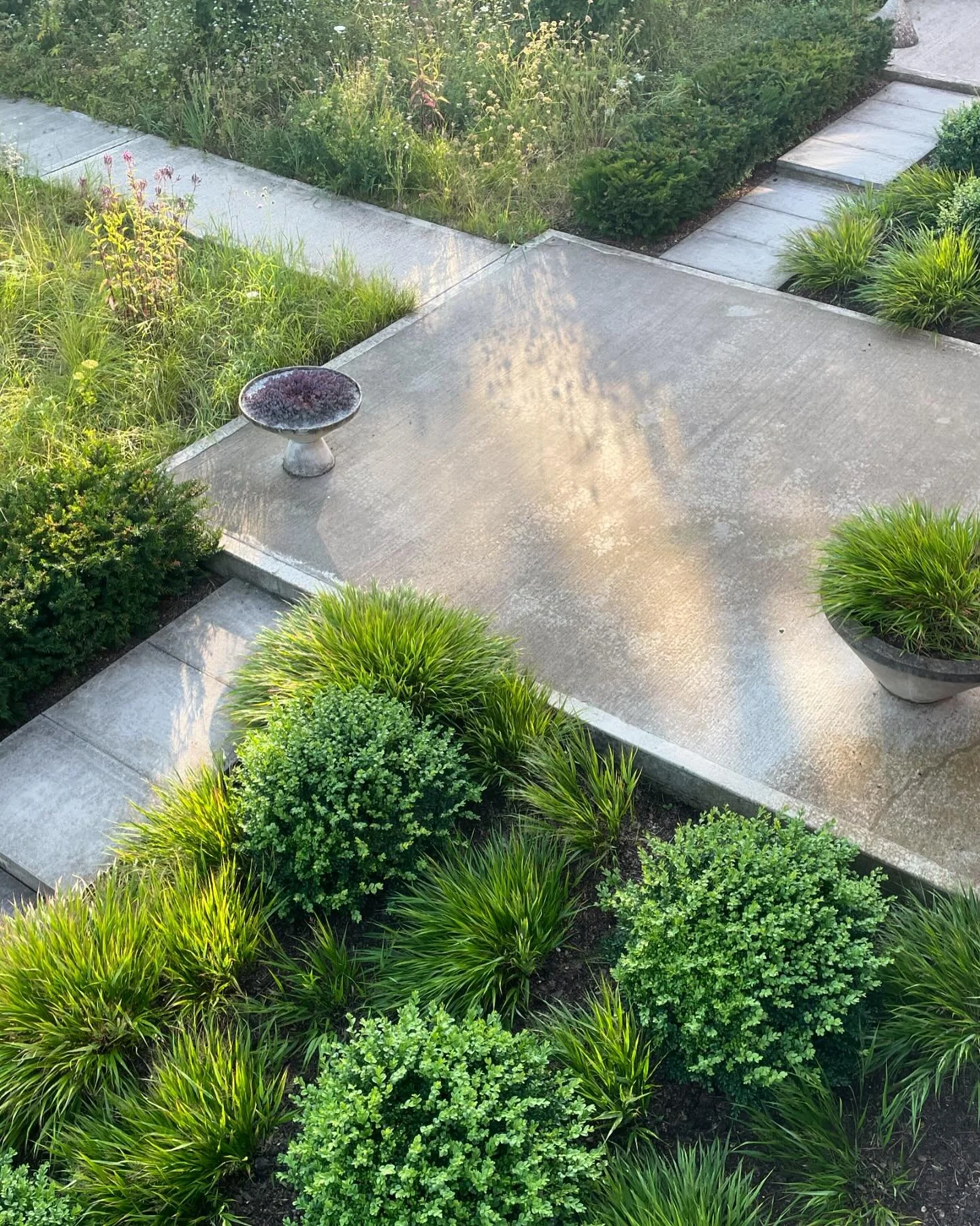 In contrast to the wilder areas of the garden the entrance to the house has a simple geometry with parred back planting.