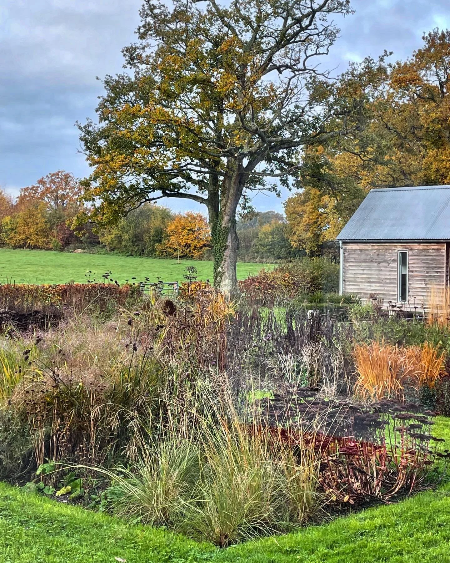 I love this time of the year when the plantings loose their flamboyant colours and take on muted tones. The focus shifts from colour to form and structure and the borders adopt an elegant transparency.