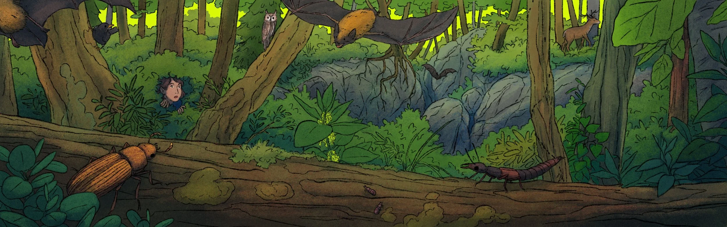 Wald_von_morgen_header_final_korrektur.jpg