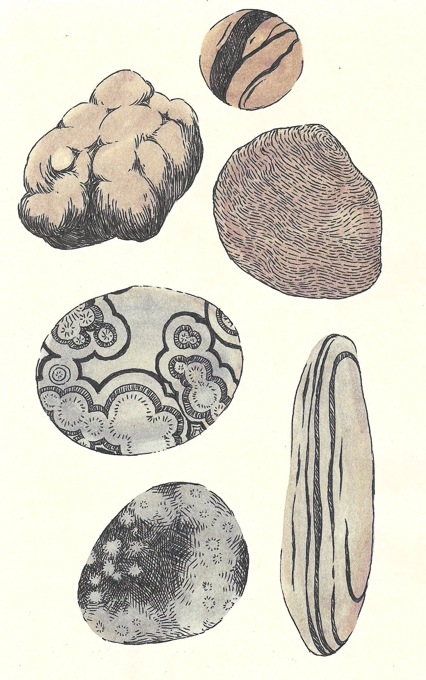 Scans_Juli-August__4-weboptimiert.jpg
