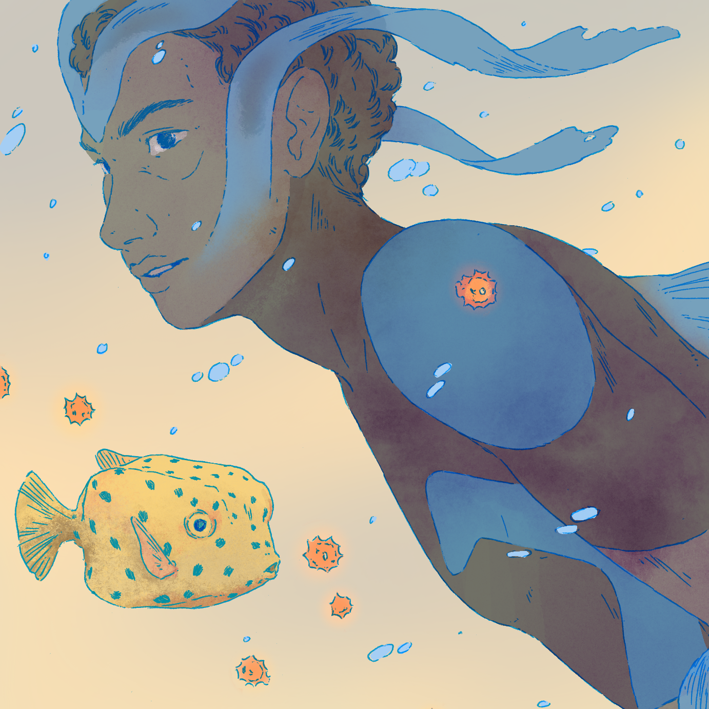 Lazuli Boxfish