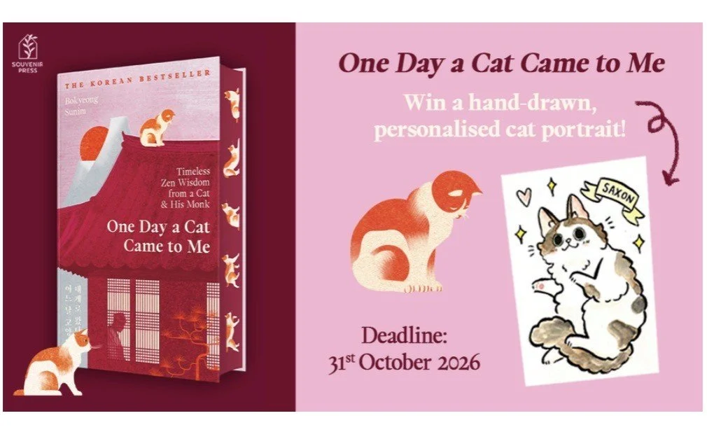 one day cat comp.jfif