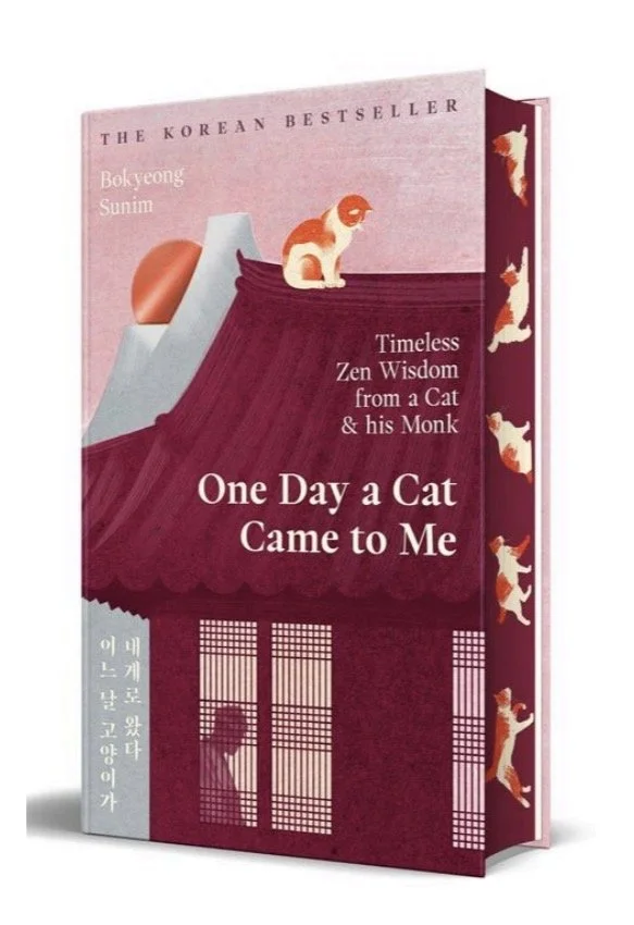 one day a cat.jfif