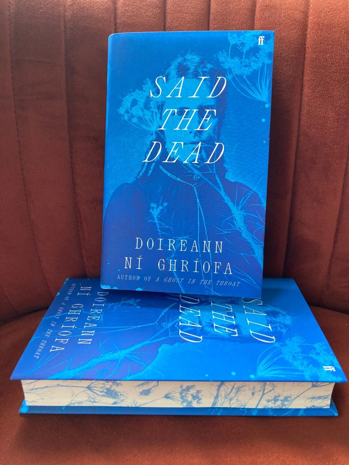 Said the Dead by Doireann Ni Ghriofa .. signed independent book shop edition